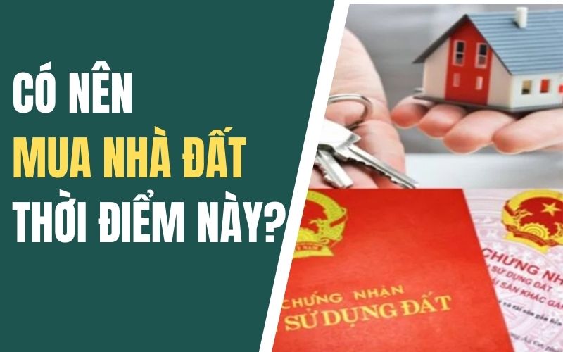 có nên mua nhà đất thời điểm này