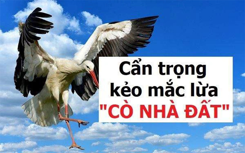 mua bán bất động sản