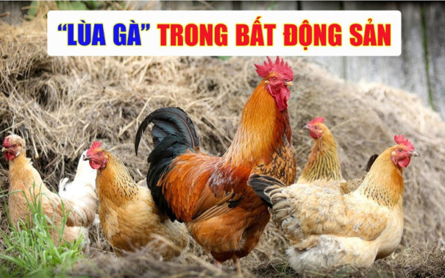 mua bán bất động sản